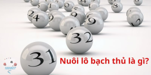 Nuôi lô bạch thủ là gì?